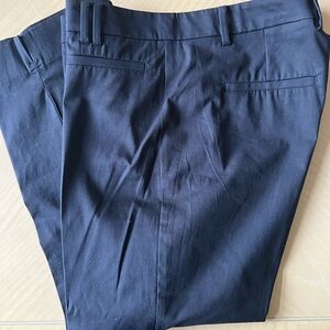 Ann Taylor Blue Cropped Ankle Pants